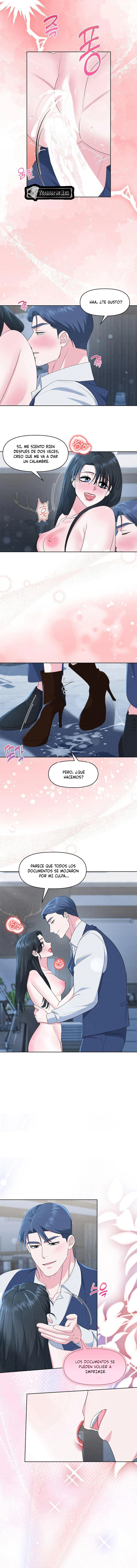 7 Me Equivoqué de Novio