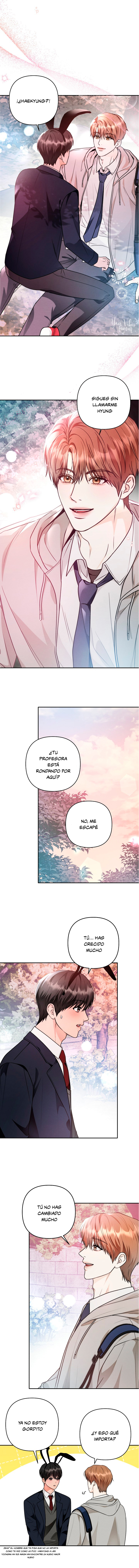 5 Mejillas Coloradas