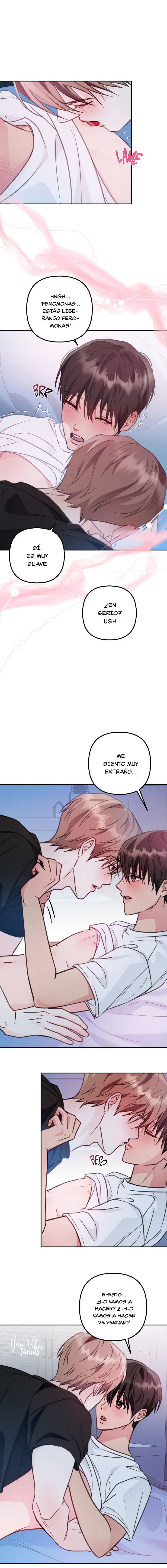 12 Mejillas Coloradas