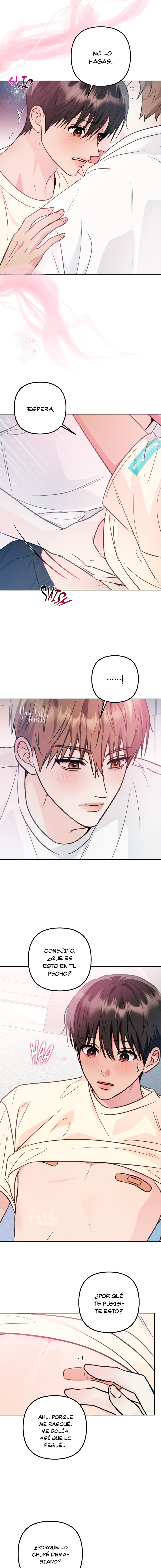 12 Mejillas Coloradas