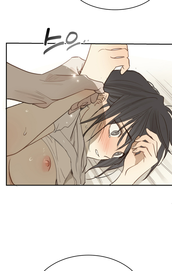 37 Las Flores son un Engaño