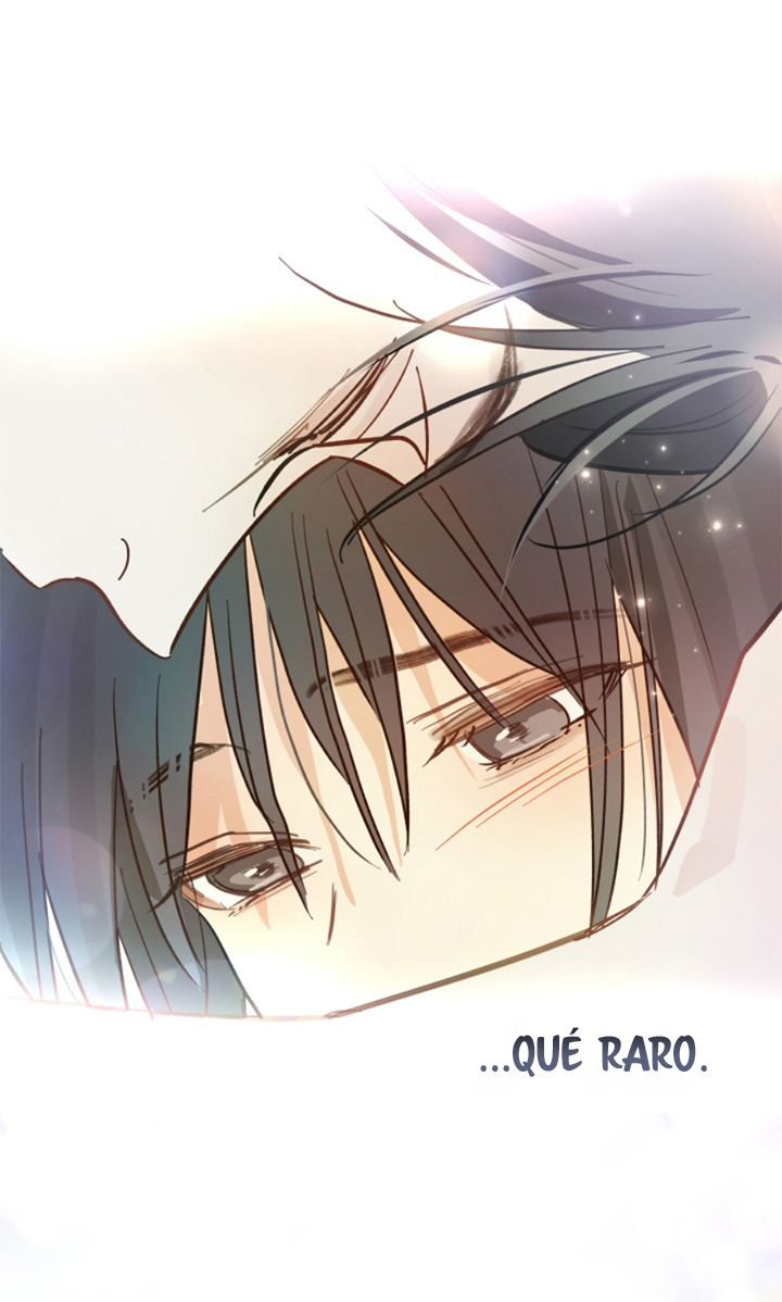 63 Las Flores son un Engaño