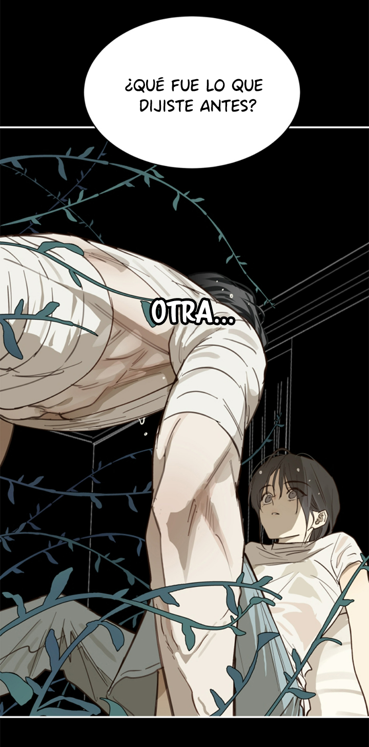 8 Las Flores son un Engaño