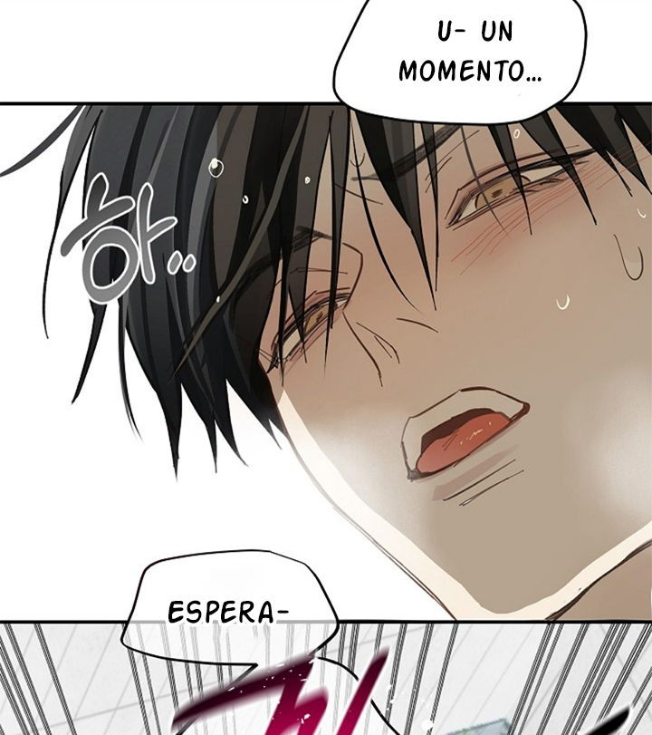 24 Las Flores son un Engaño