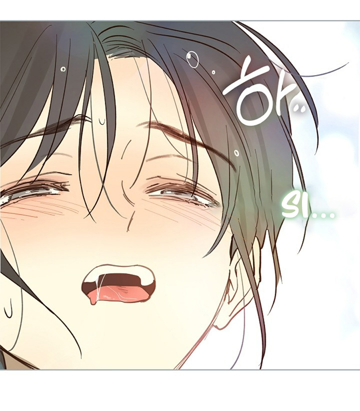 39 Las Flores son un Engaño