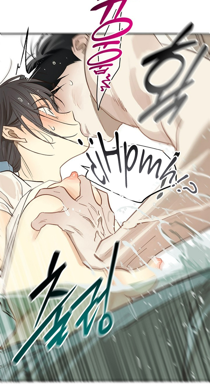 36 Las Flores son un Engaño