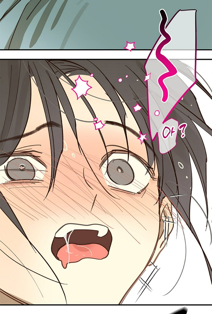 41 Las Flores son un Engaño