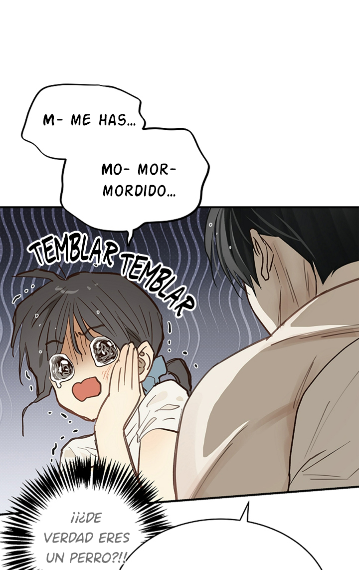 52 Las Flores son un Engaño