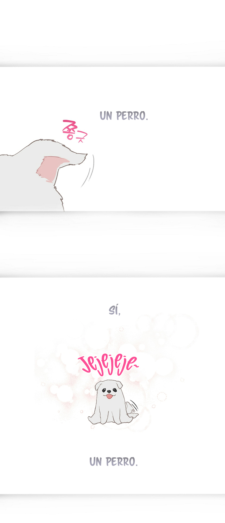 19 Las Flores son un Engaño