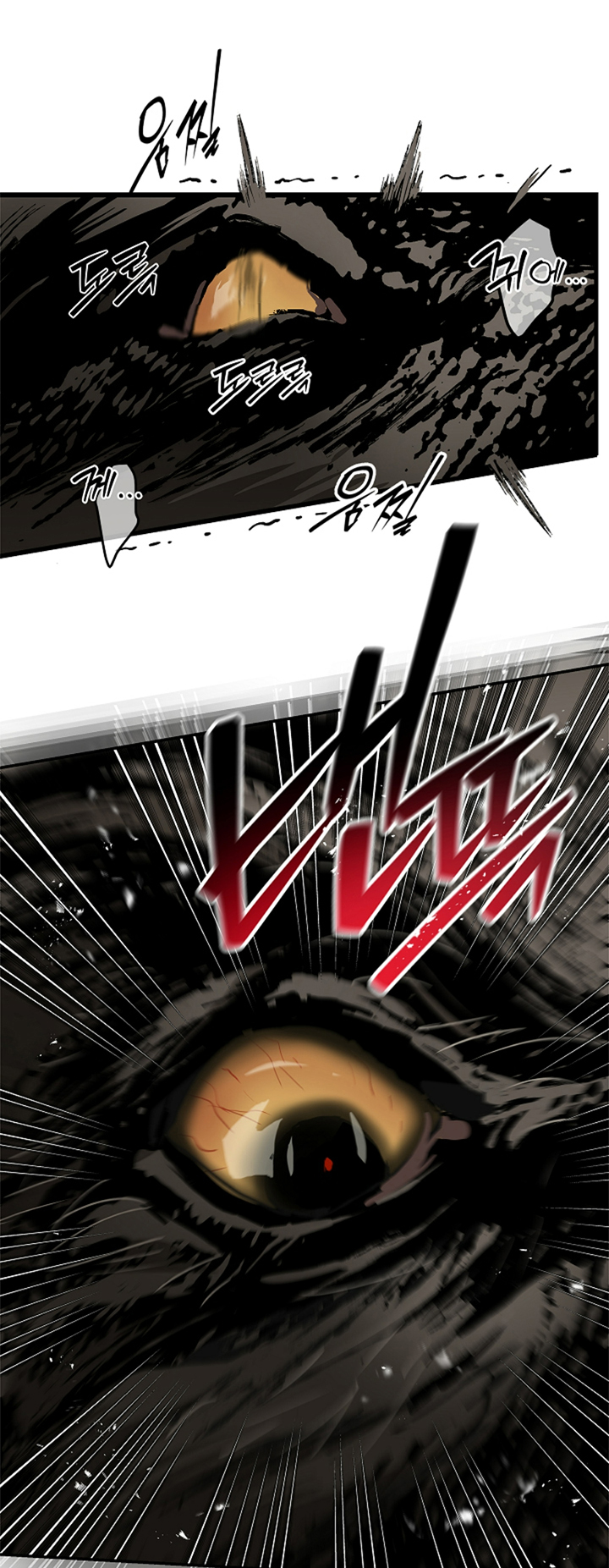 19 Las Flores son un Engaño