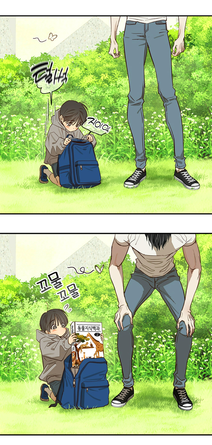 8 Las Flores son un Engaño