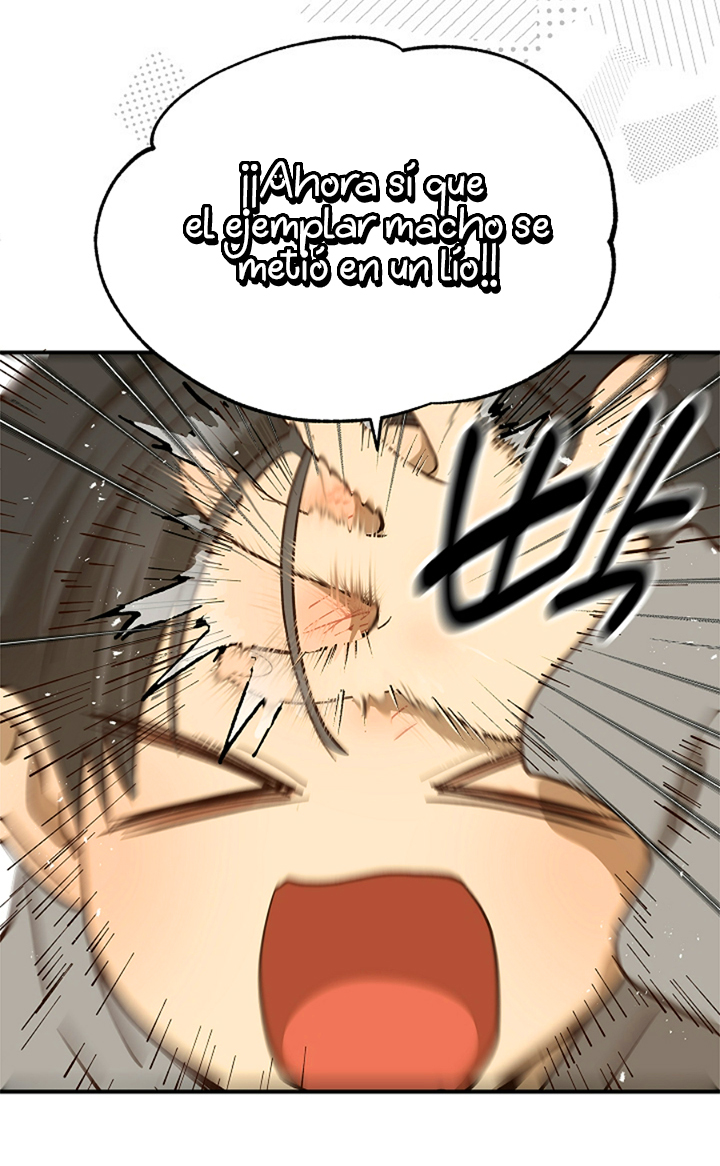 15 Las Flores son un Engaño