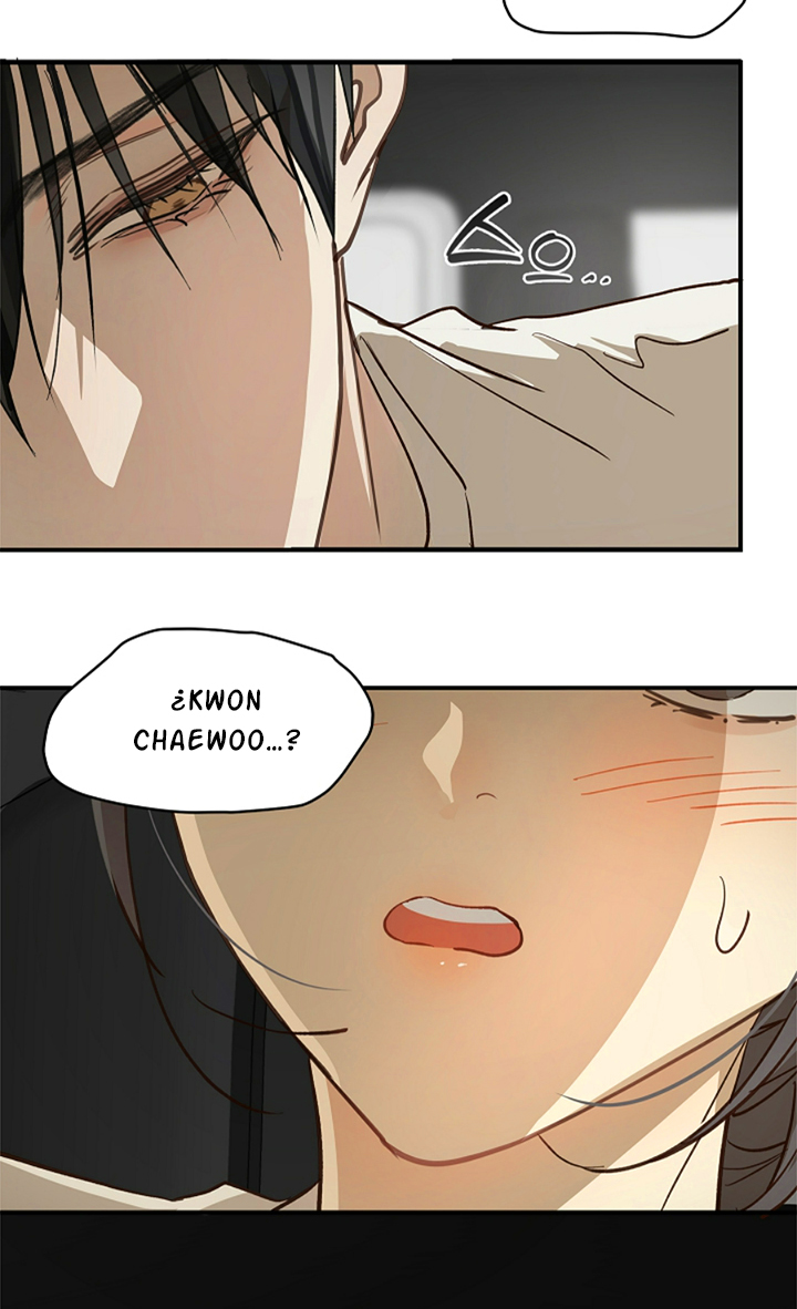 52 Las Flores son un Engaño