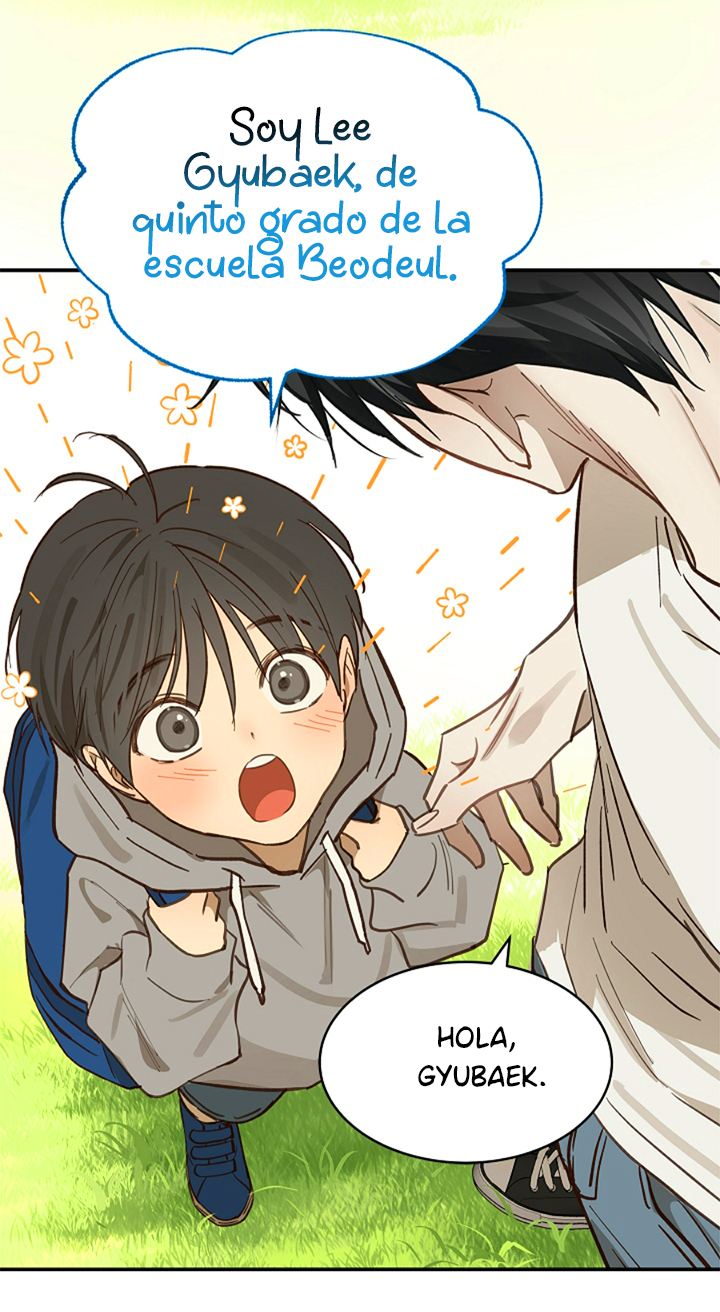 6 Las Flores son un Engaño