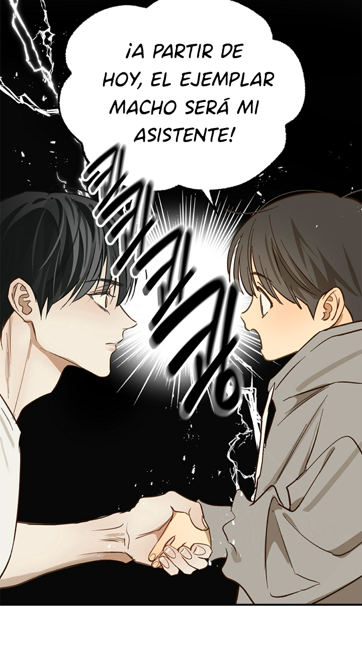 30 Las Flores son un Engaño