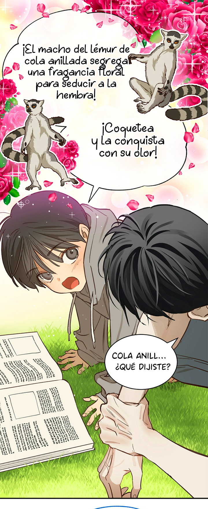 10 Las Flores son un Engaño