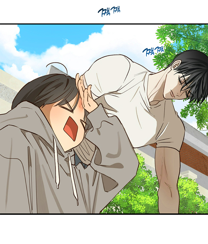 17 Las Flores son un Engaño