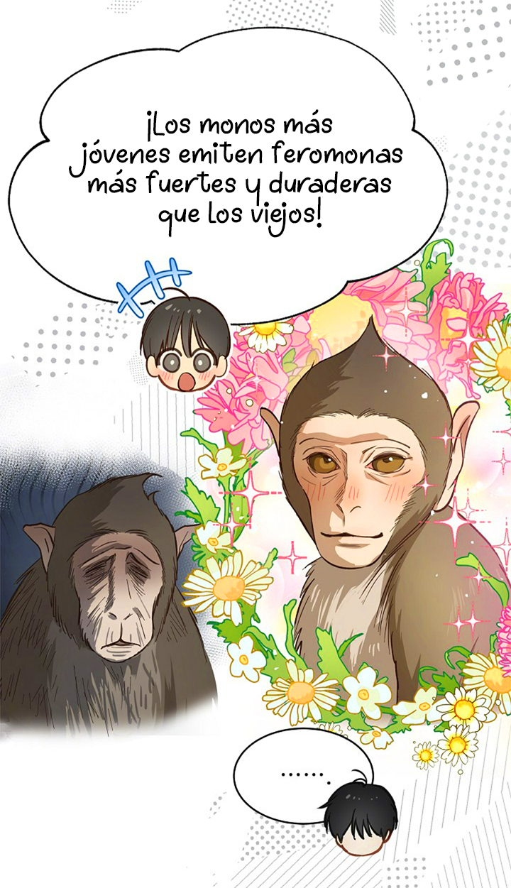 14 Las Flores son un Engaño