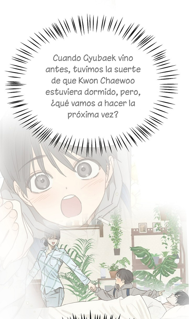 61 Las Flores son un Engaño