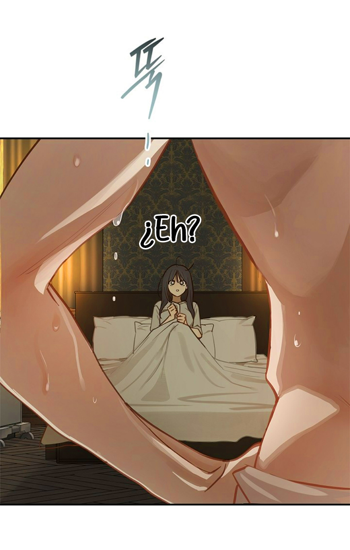 65 Las Flores son un Engaño