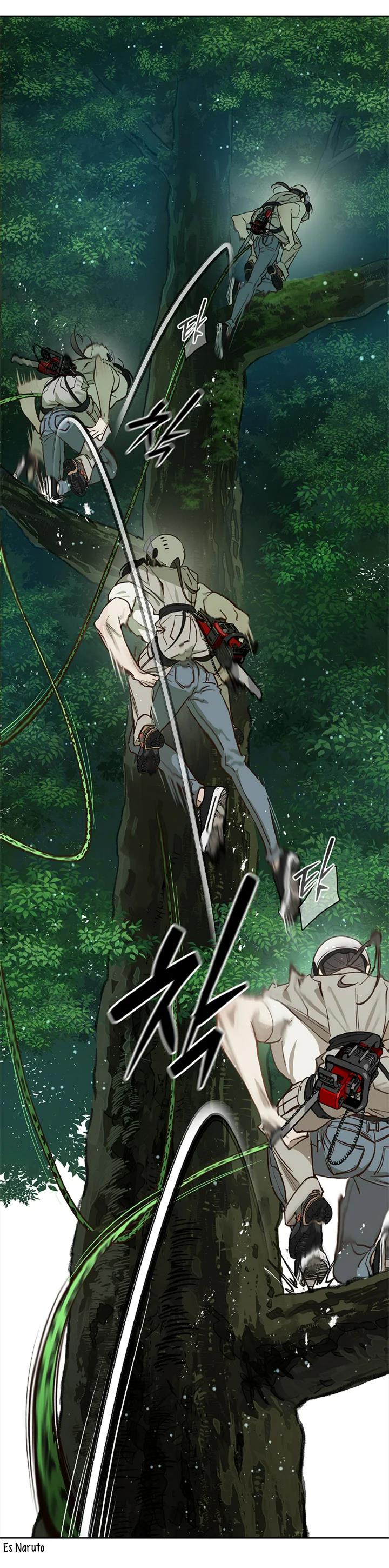 27 Las Flores son un Engaño