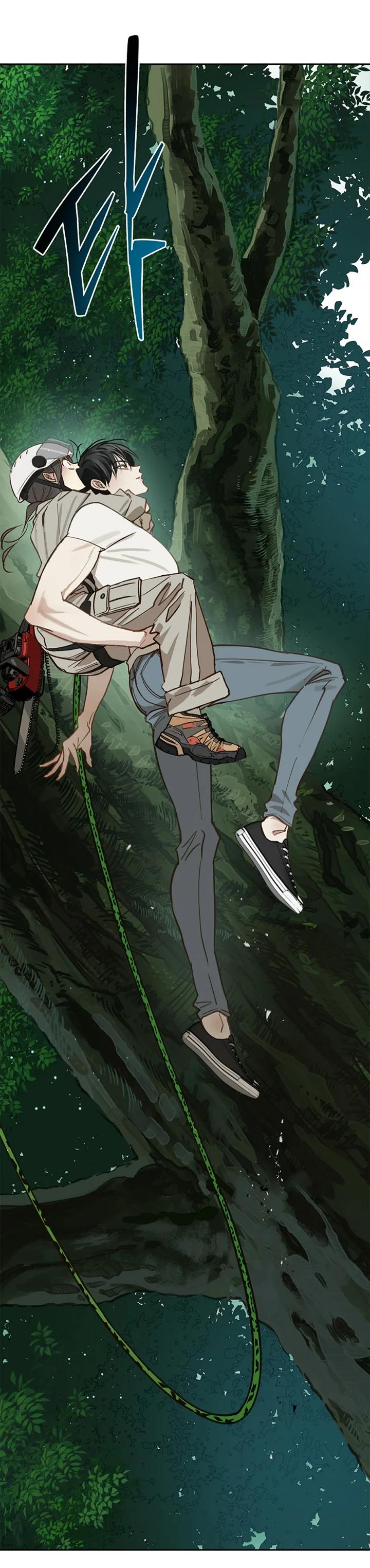 25 Las Flores son un Engaño