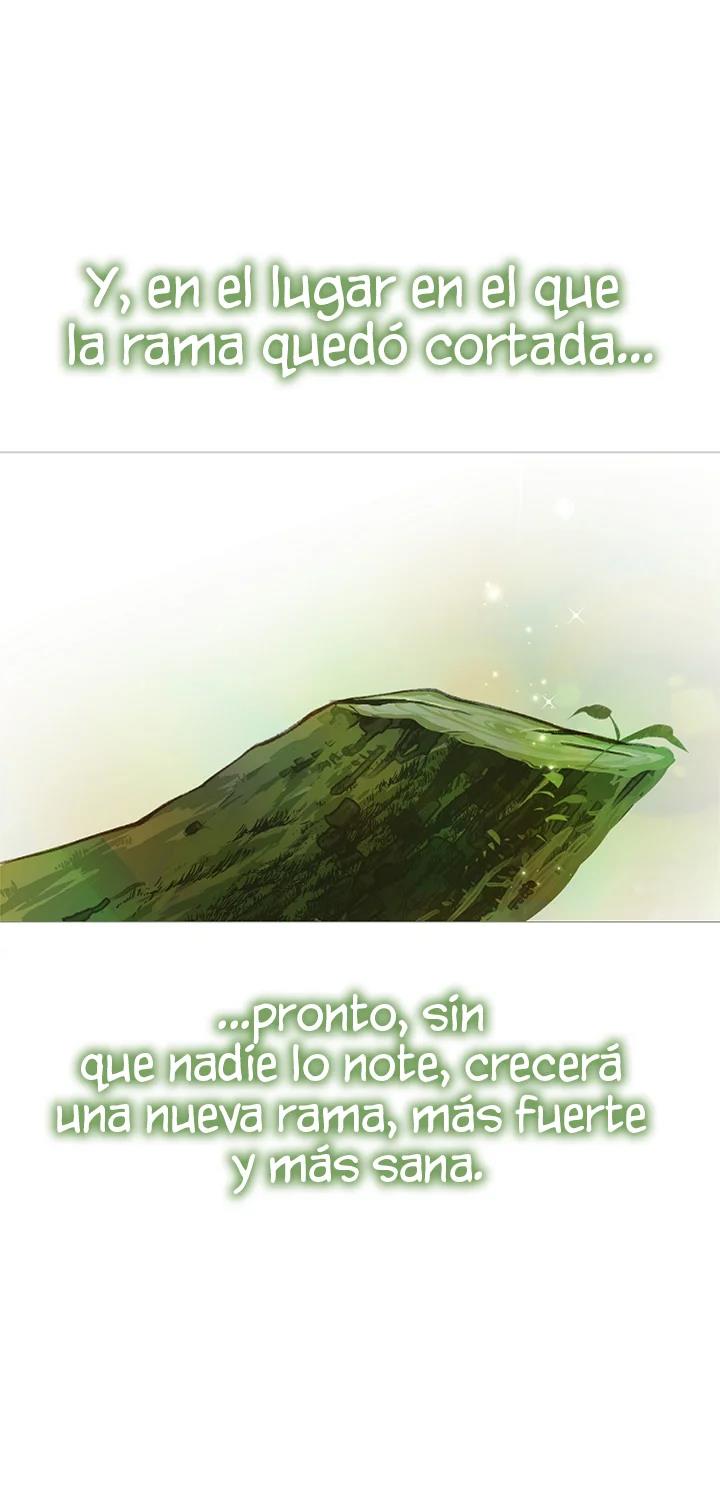 54 Las Flores son un Engaño