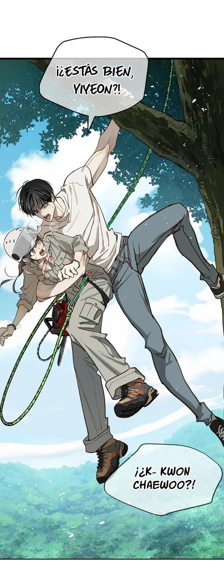 4 Las Flores son un Engaño