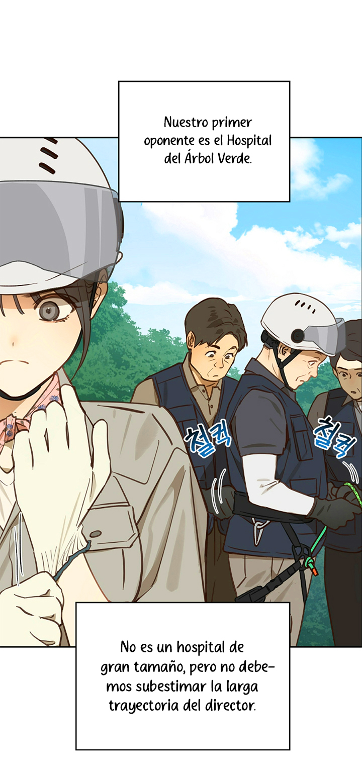 6 Las Flores son un Engaño