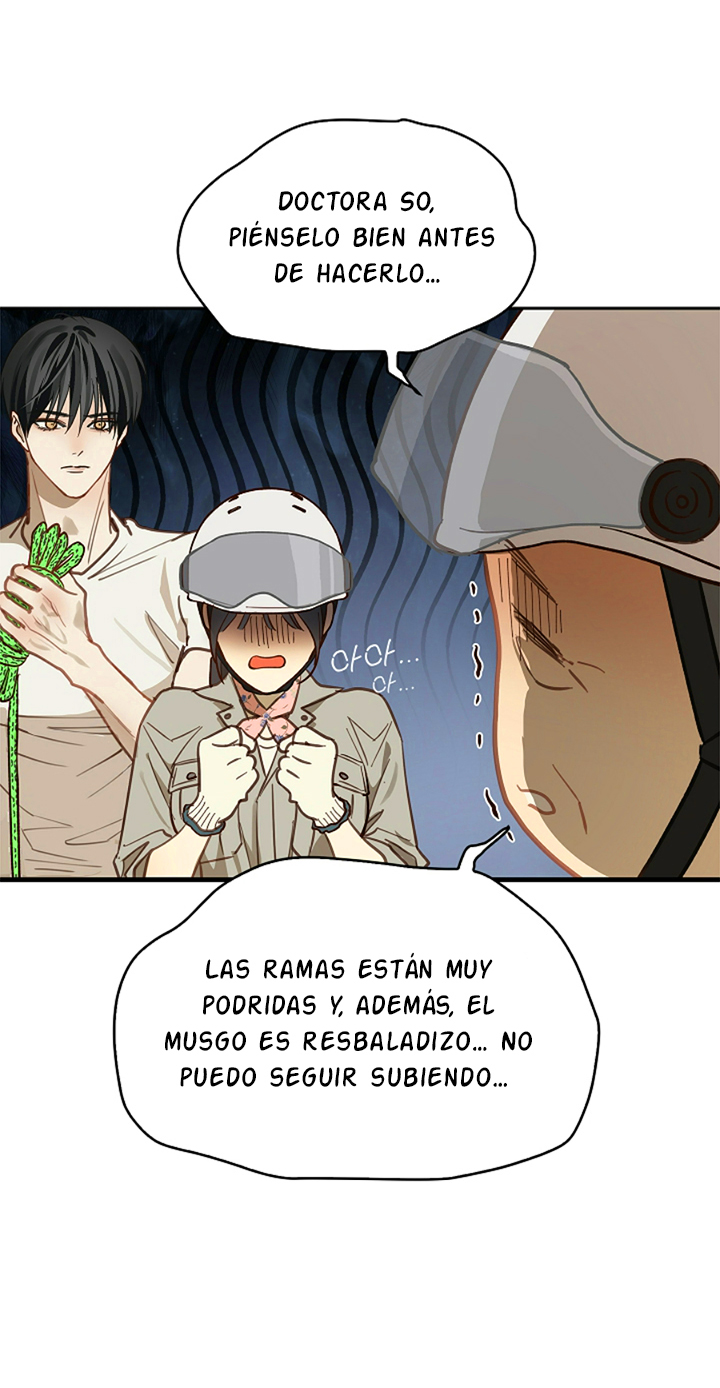 20 Las Flores son un Engaño