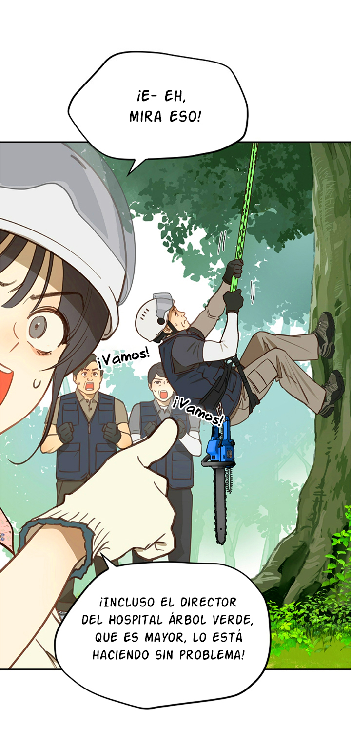 16 Las Flores son un Engaño