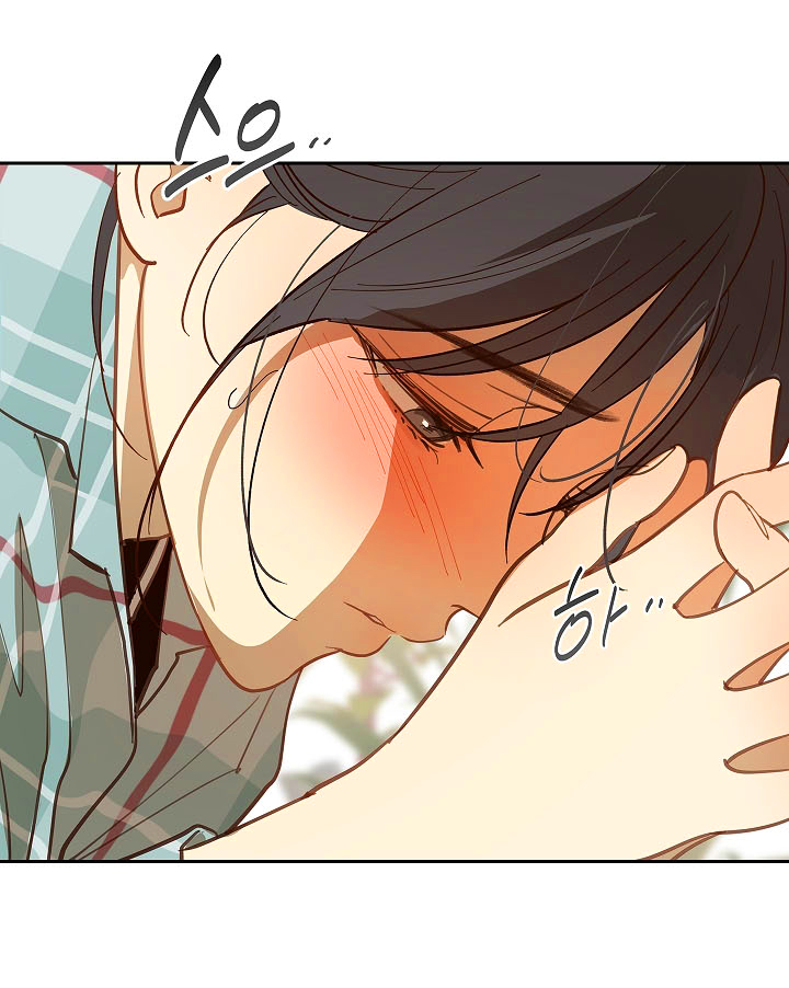 28 Las Flores son un Engaño