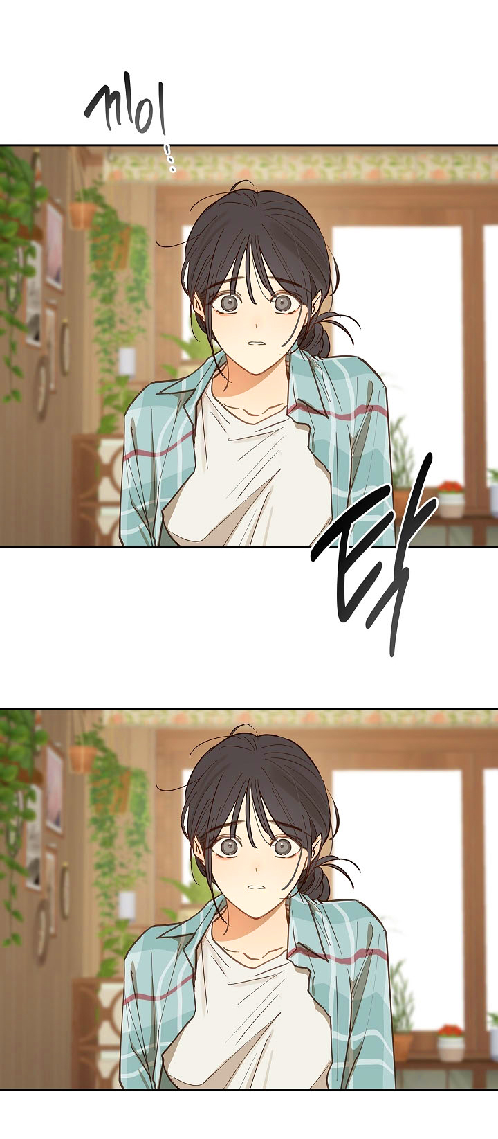 25 Las Flores son un Engaño