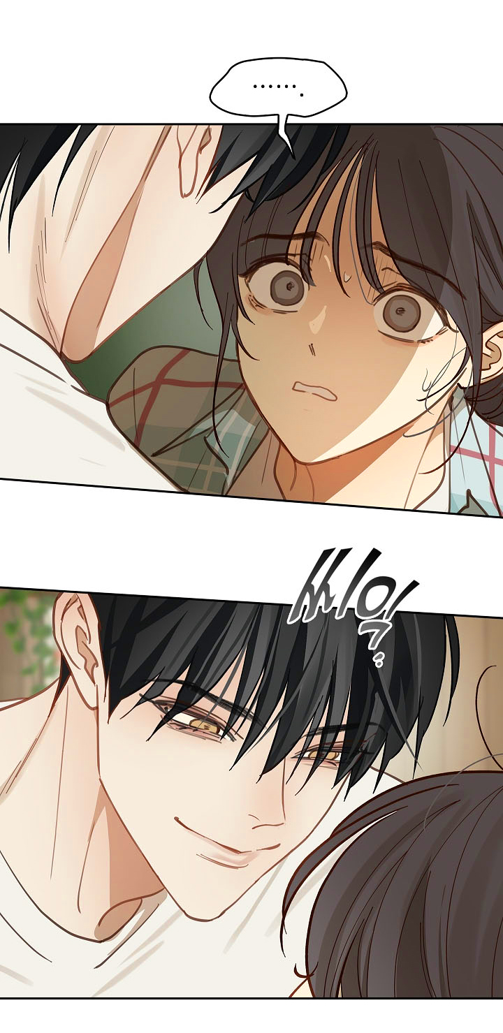 20 Las Flores son un Engaño