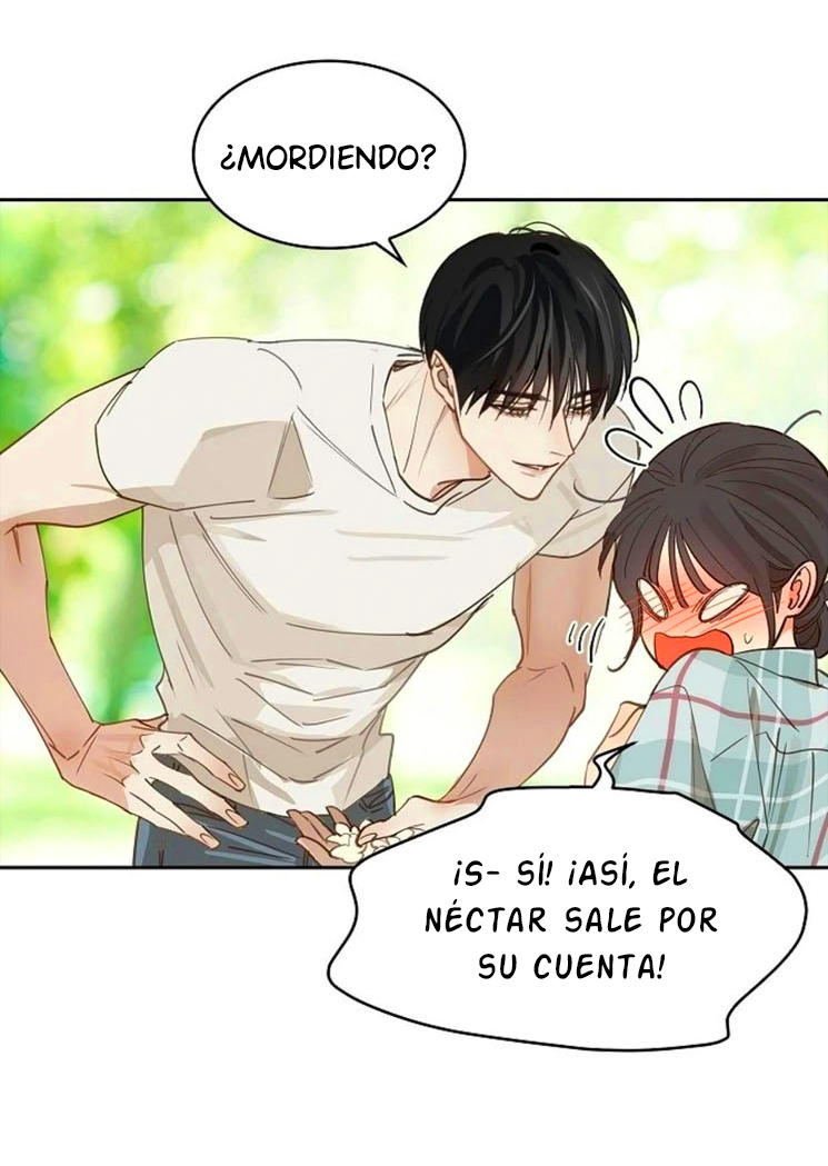 14 Las Flores son un Engaño