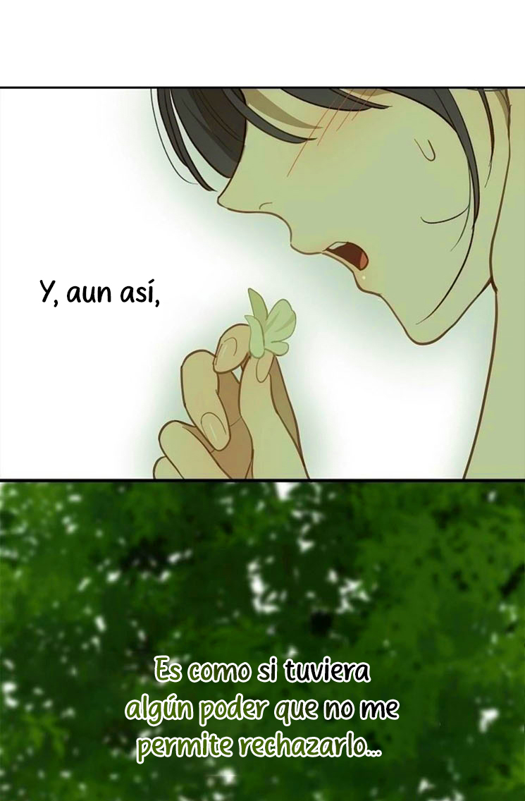 6 Las Flores son un Engaño