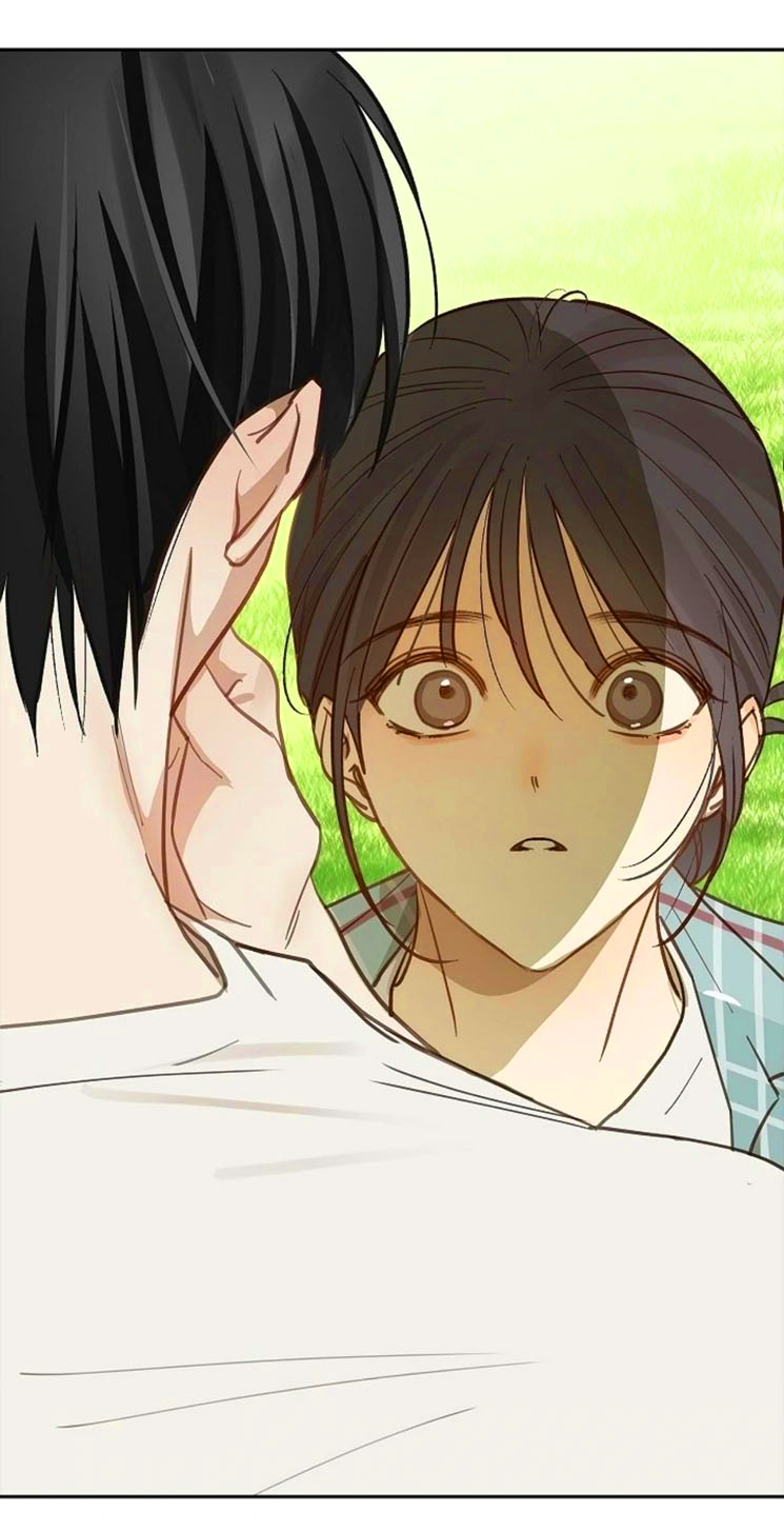 17 Las Flores son un Engaño