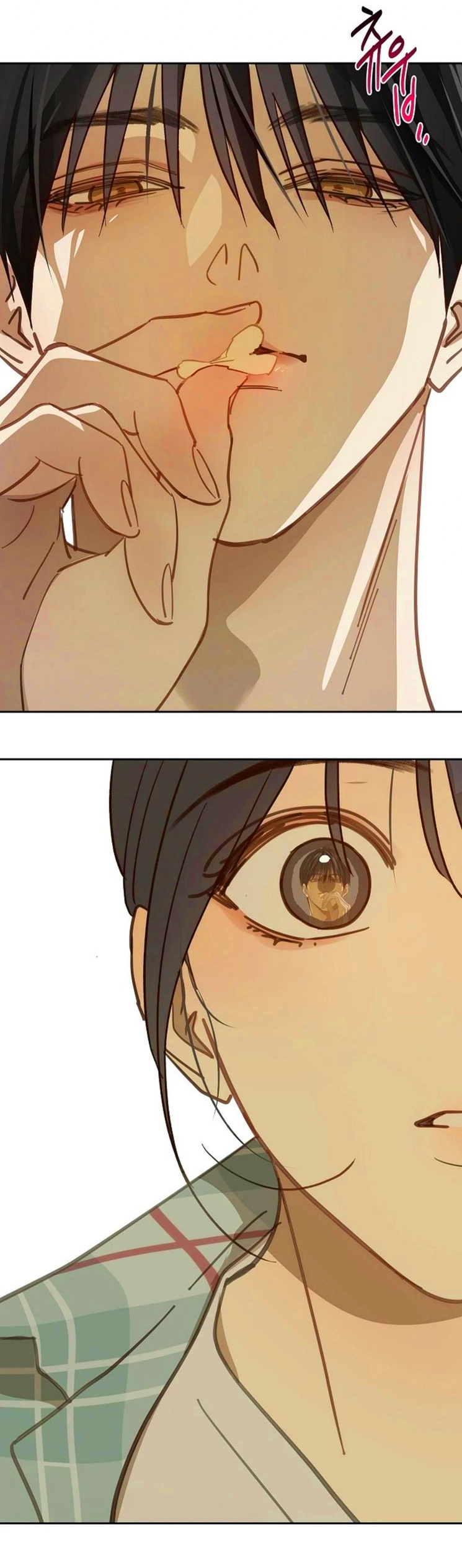 19 Las Flores son un Engaño