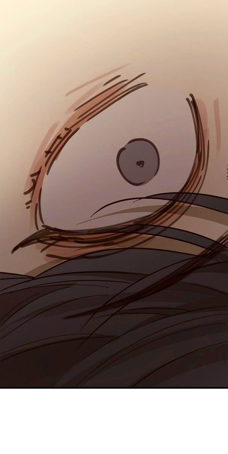 37 Las Flores son un Engaño