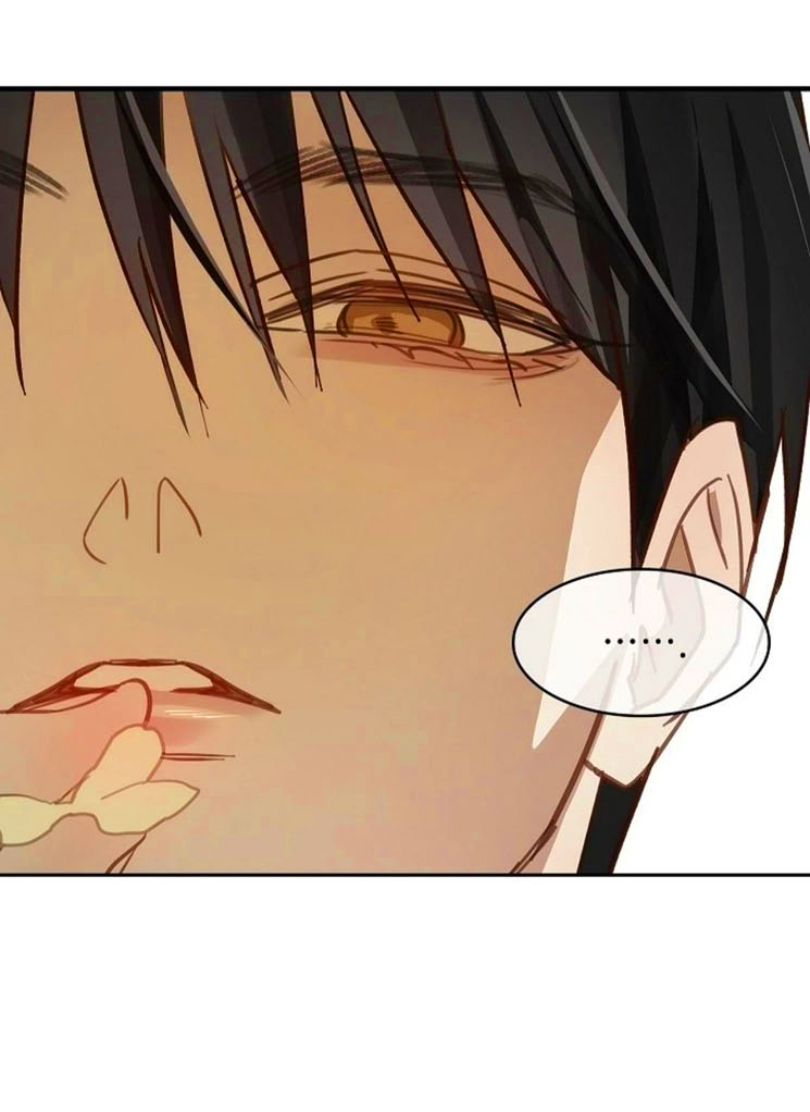 20 Las Flores son un Engaño