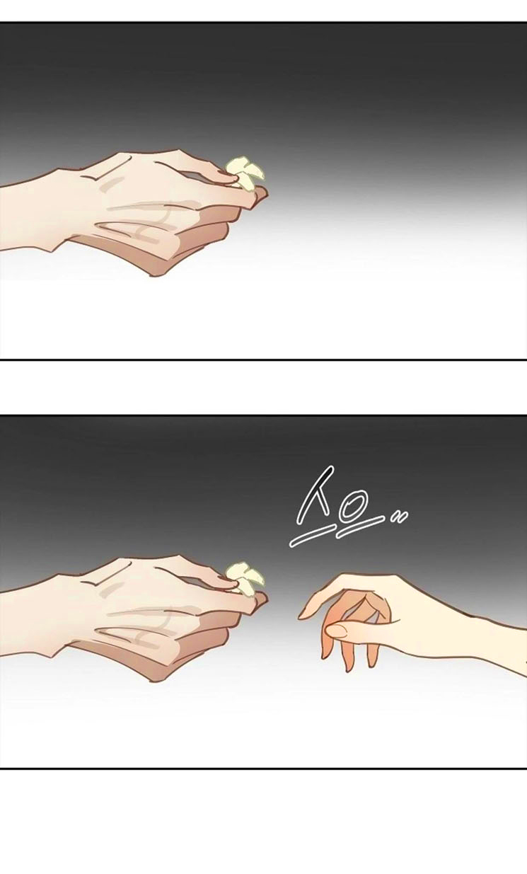 5 Las Flores son un Engaño