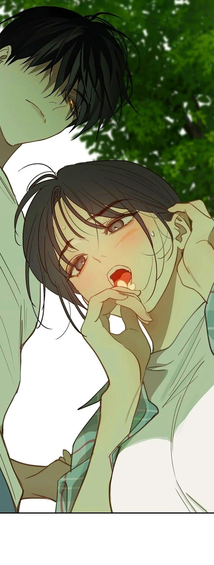 7 Las Flores son un Engaño