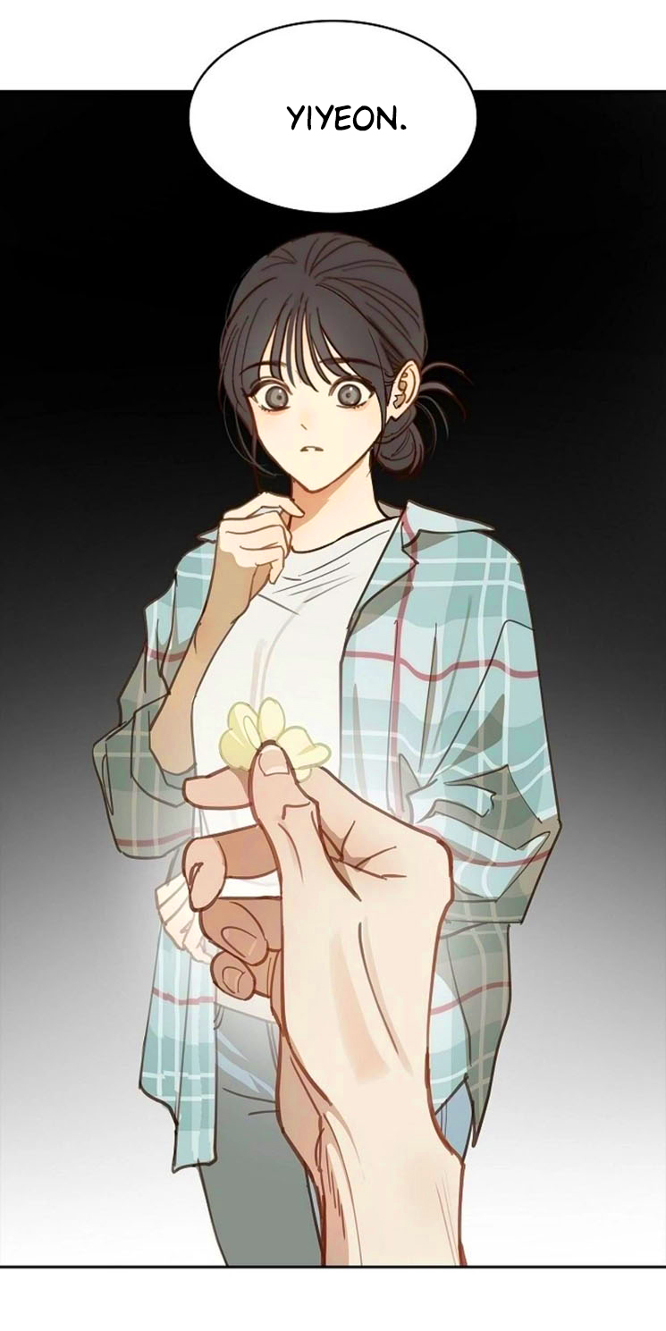 3 Las Flores son un Engaño