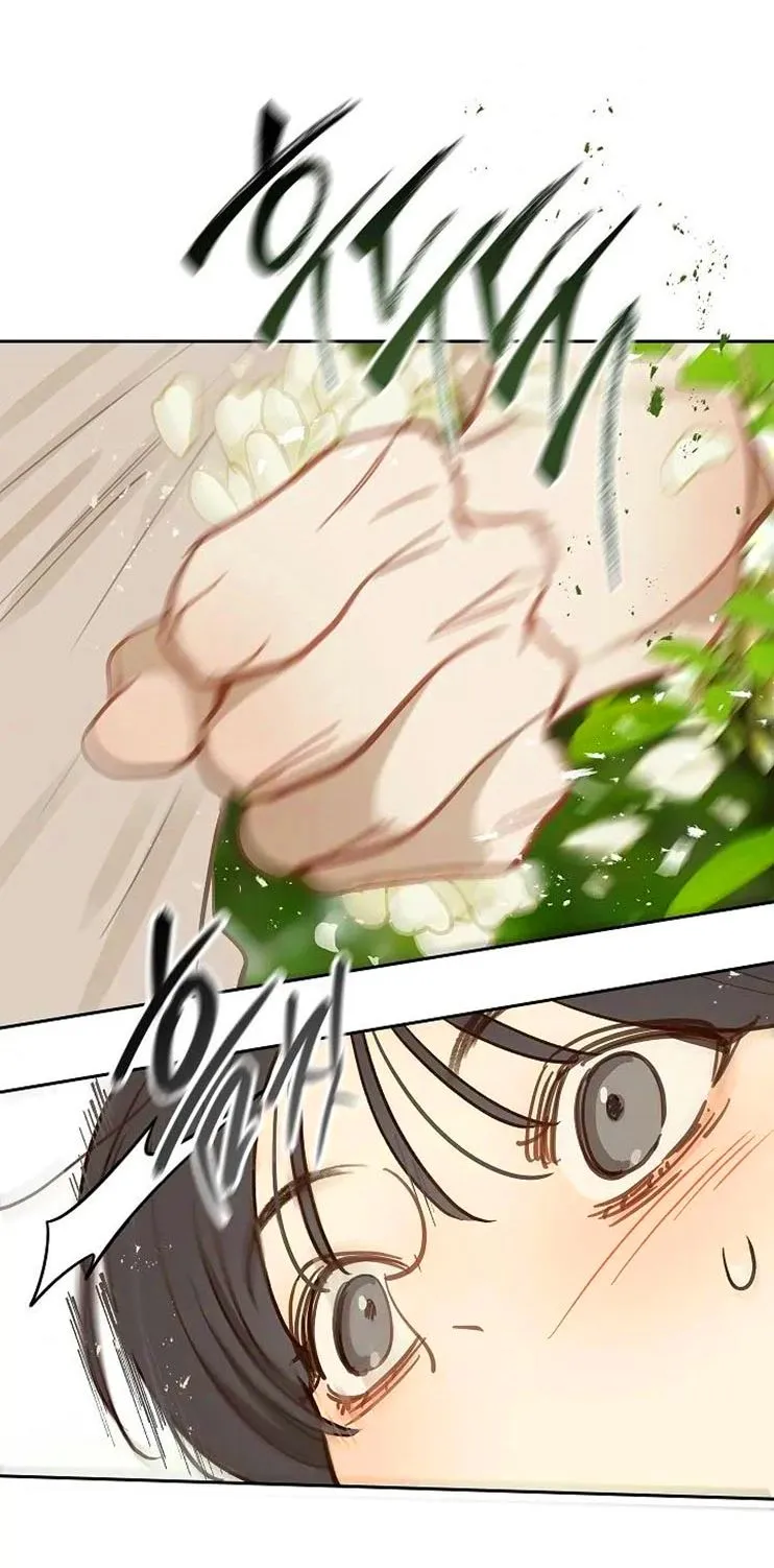 50 Las Flores son un Engaño