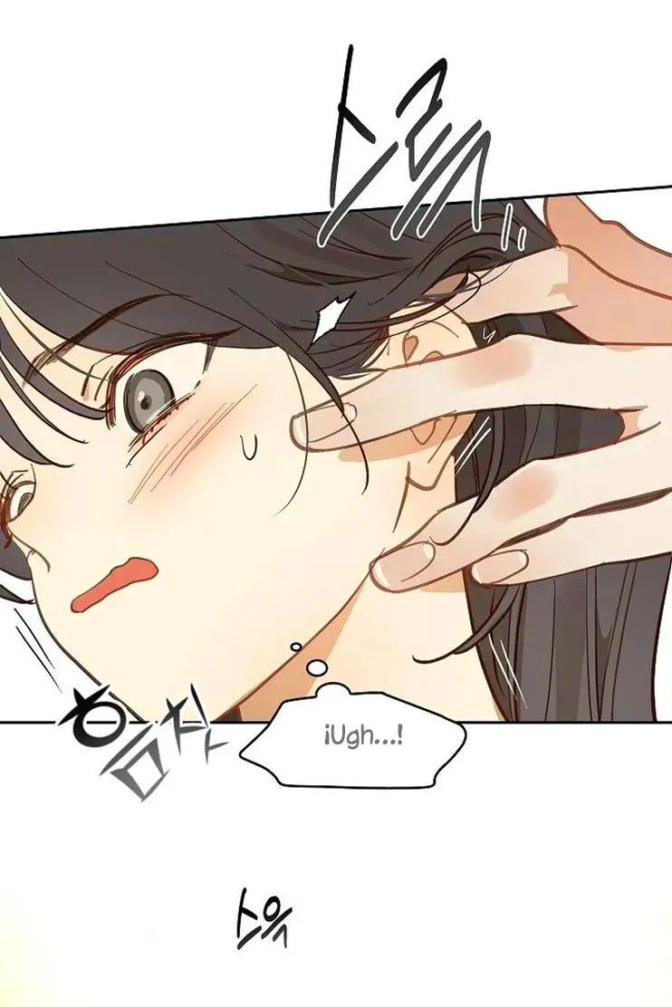 20 Las Flores son un Engaño