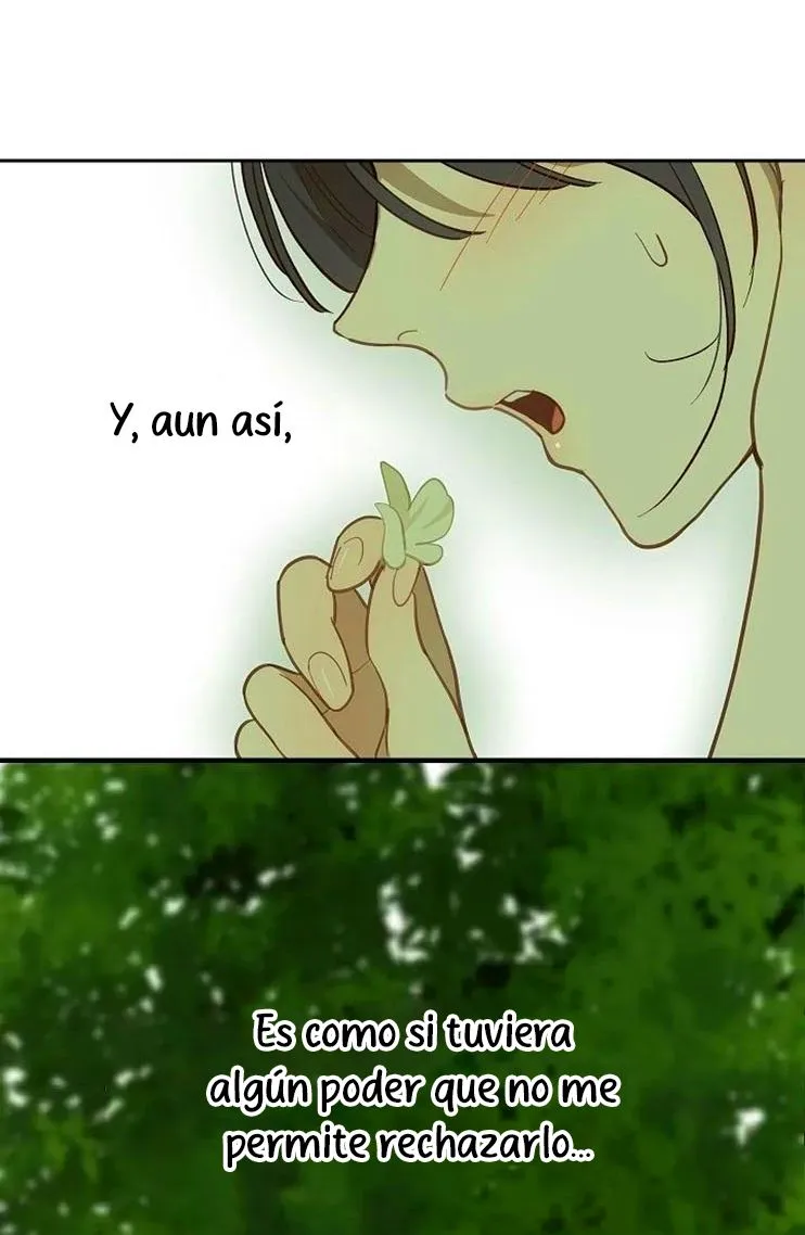 66 Las Flores son un Engaño