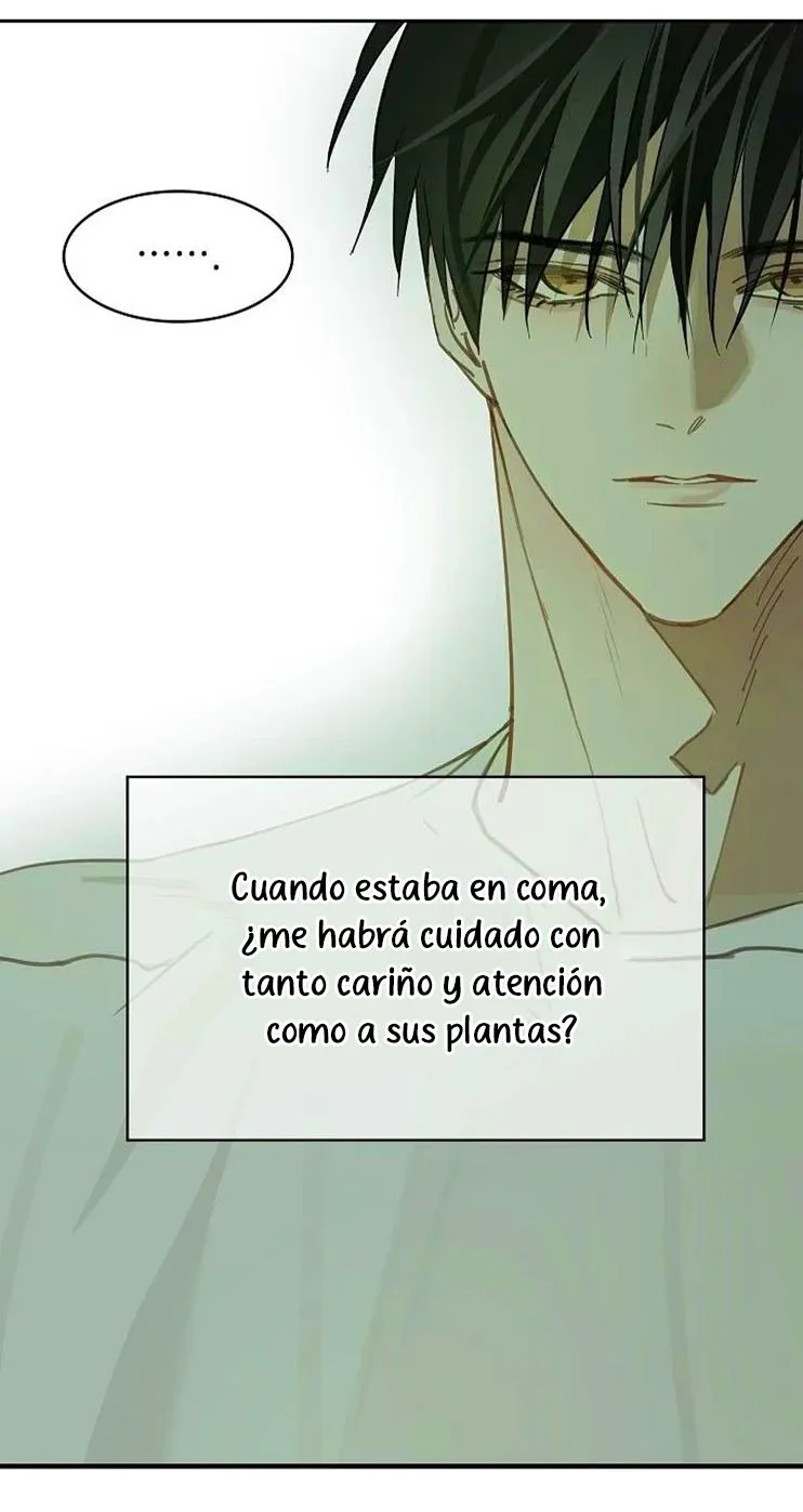 47 Las Flores son un Engaño