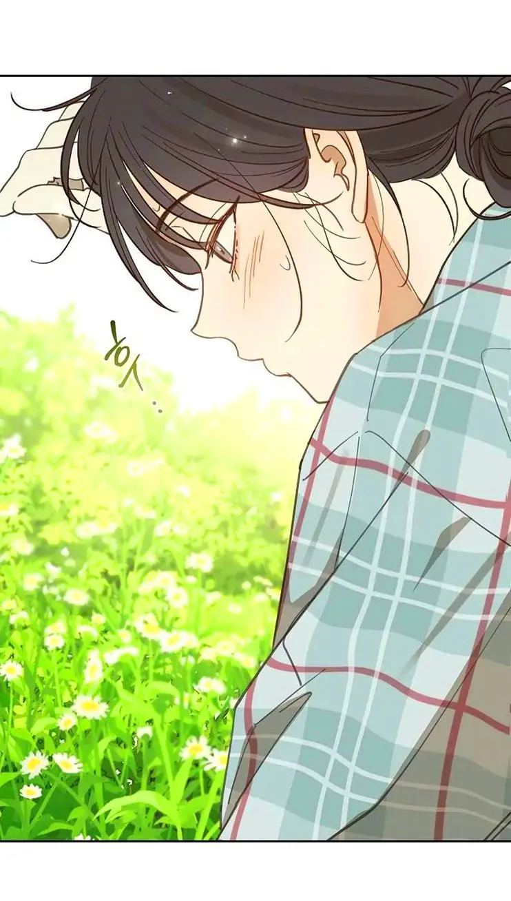 46 Las Flores son un Engaño