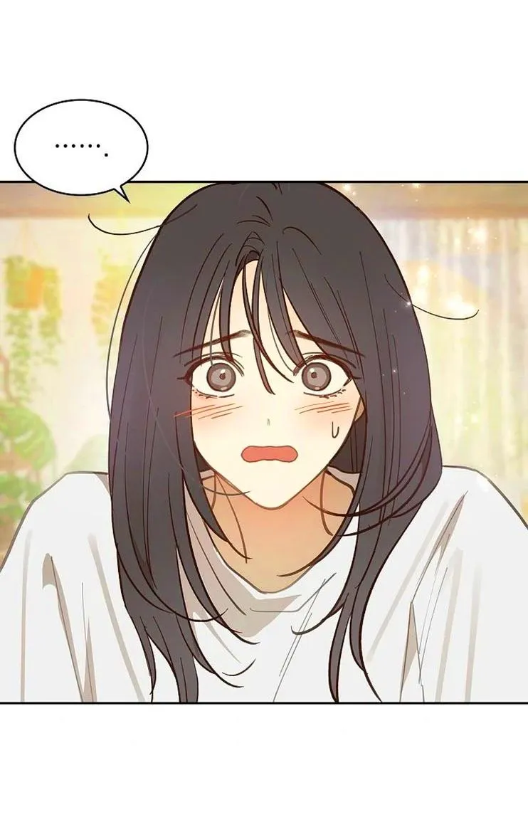 12 Las Flores son un Engaño