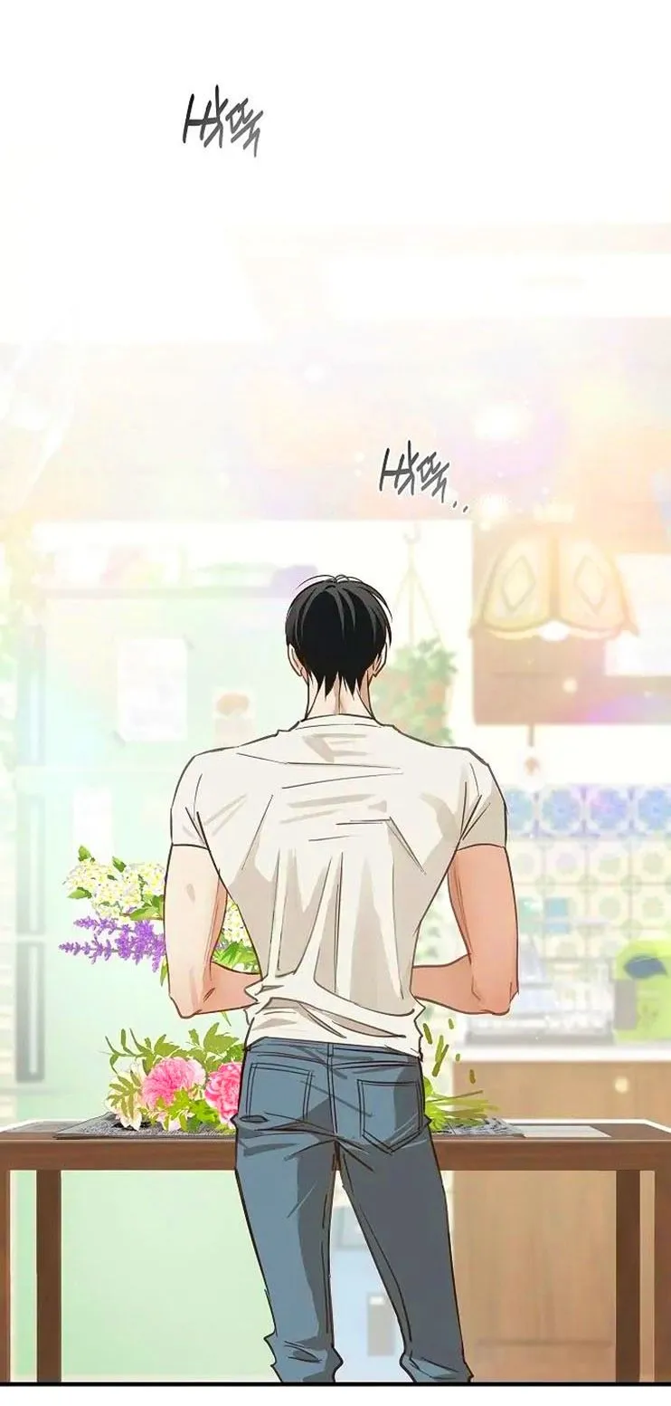 8 Las Flores son un Engaño